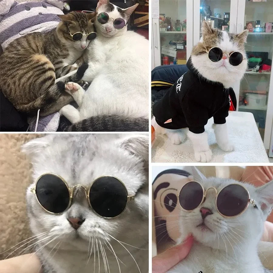 Lovely Pet Glasses