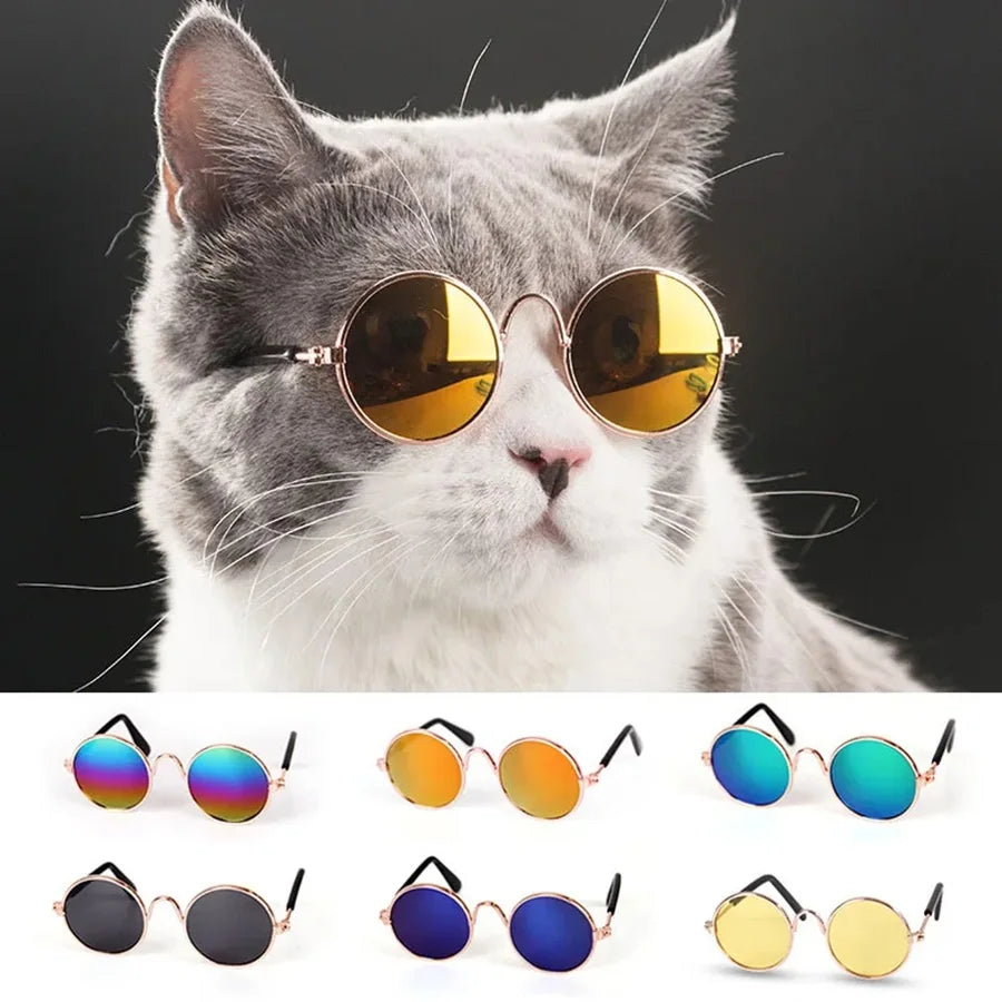 Lovely Pet Glasses
