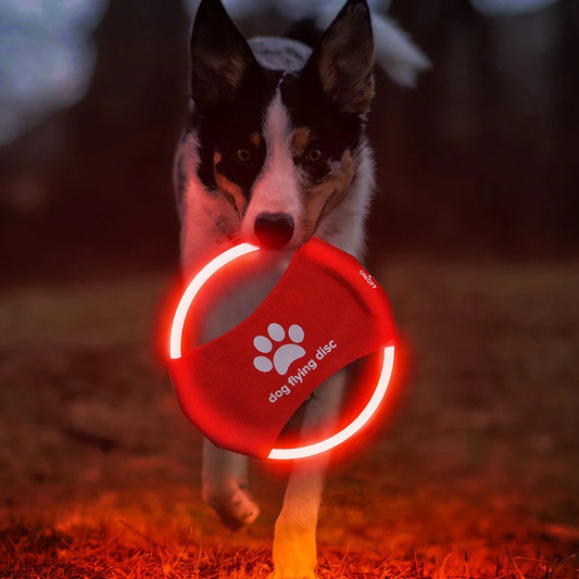 LED Light-up Flying Disc for Dog