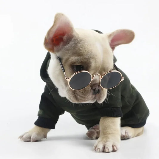 Lovely Pet Glasses