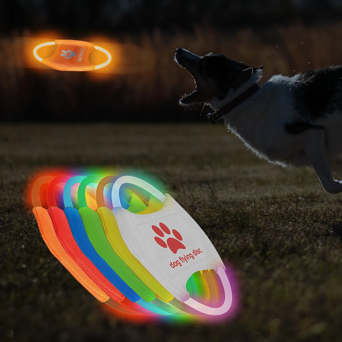 LED Light-up Flying Disc for Dog